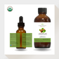 Organic Cinnamon Leaf Essential Oil - PoiseAroma