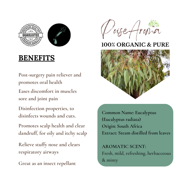 Organic Eucalyptus Essential Oil - PoiseAroma