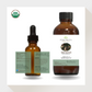 Organic Pine Scotch Essential Oil - PoiseAroma