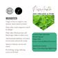 Organic Spearmint Essential Oil - PoiseAroma