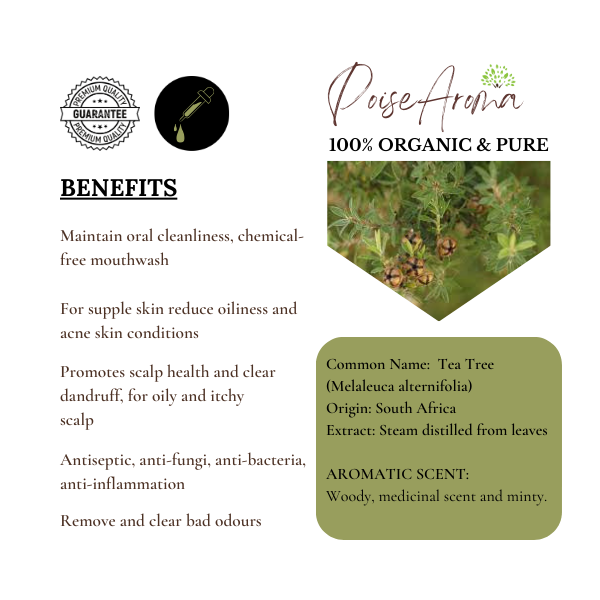 Organic Tea Tree Essential oil - PoiseAroma