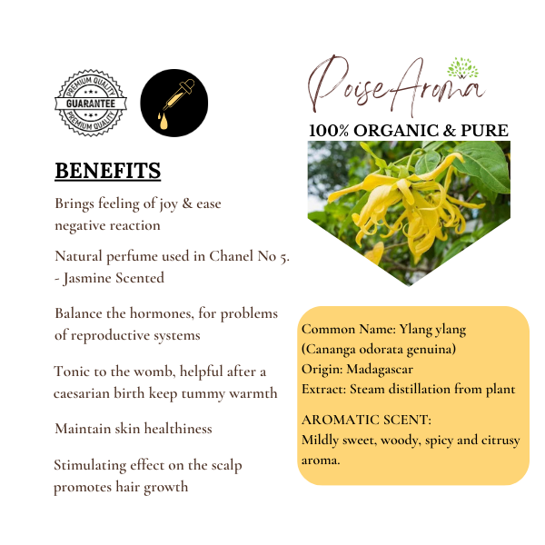 Organic Ylang Ylang Essential Oil - PoiseAroma